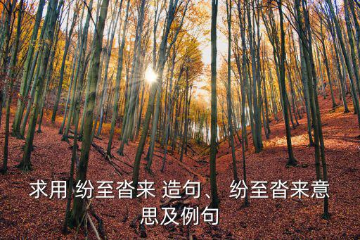求用 紛至沓來 造句、 紛至沓來意思及例句