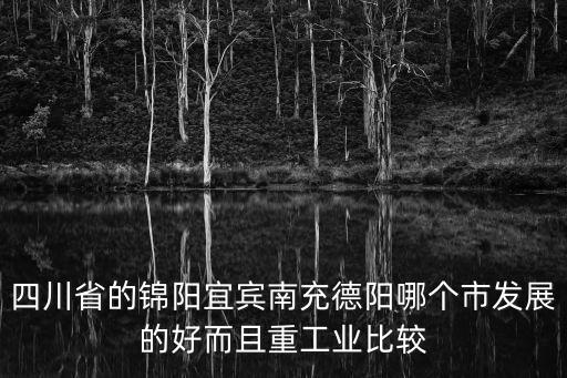 四川省的錦陽宜賓南充德陽哪個市發(fā)展的好而且重工業(yè)比較