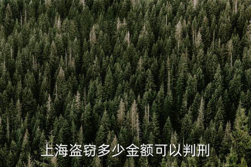 上海市盜竊罪的起刑點，上海盜竊多少金額可以判刑