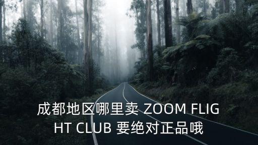 成都市ur專賣店，成都哪里有賣ur