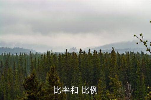 比率和 比例