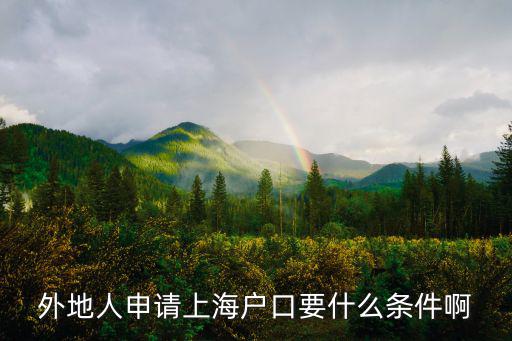 外地人申請上海戶口要什么條件啊
