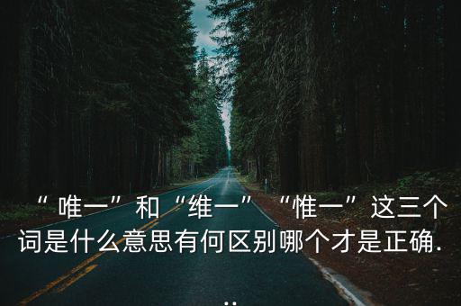 唯一是什么意思,觀察圣人之學之一:一是唯一二是一