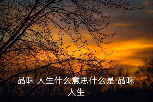  品味 人生什么意思什么是 品味 人生