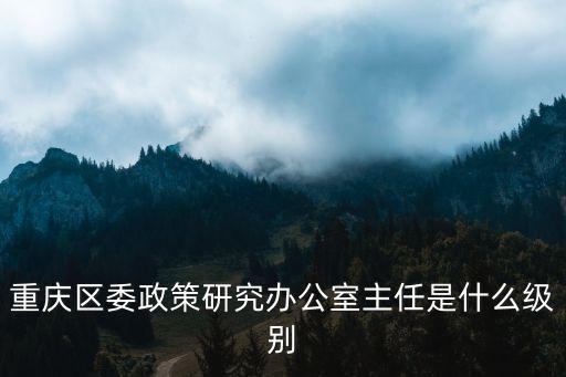重慶區(qū)委政策研究辦公室主任是什么級(jí)別