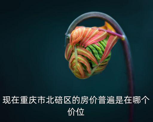 重慶北碚的房價如何啊，重慶北碚的房價怎么樣是多少