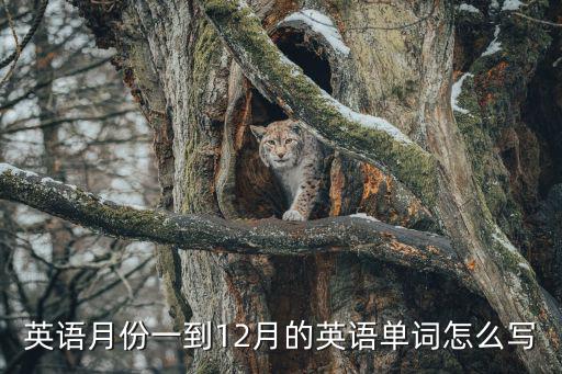 英語月份一到12月的英語單詞怎么寫