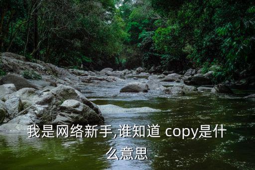 copy是什么意思,這些英文名詞從何而來?