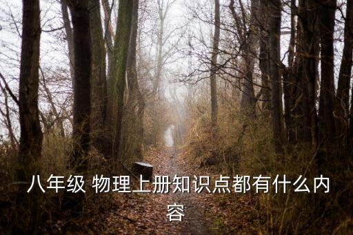 八年級物理上,四年級新學期新知識點匯總