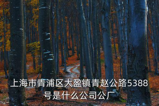 上海市青浦區大盈鎮青趙公路5388號是什么公司公廠