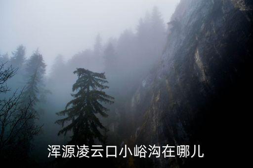 苗峪村，沂水崔家峪鎮(zhèn)狀元墓在哪個村