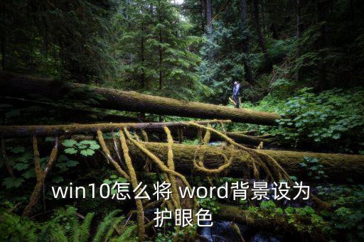 word護眼,怎么用護眼mode?!