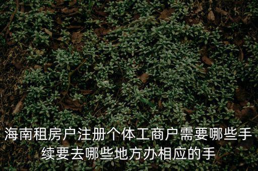 海南租房戶注冊個體工商戶需要哪些手續要去哪些地方辦相應的手