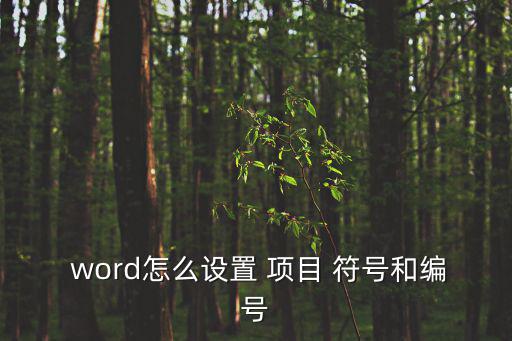  word怎么設置 項目 符號和編號