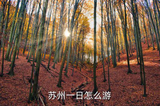 蘇州一日怎么游