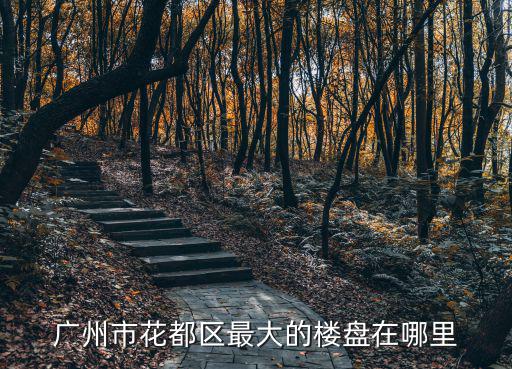 廣州市花都區(qū)最大的樓盤在哪里
