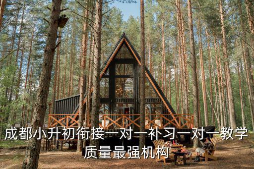 成都小升初銜接一對一補習一對一教學質量最強機構