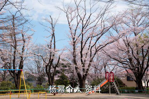 楊冪個人資料,中國女演員楊冪的英文名:楊冪