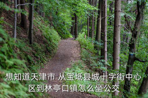 想知道天津市 從寶坻縣城十字街中心區到林亭口鎮怎么坐公交