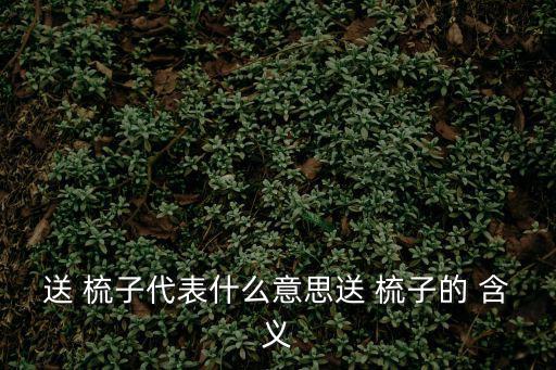 送梳子的含義,古人七夕送梳子代表思念和愛人一起送/1233