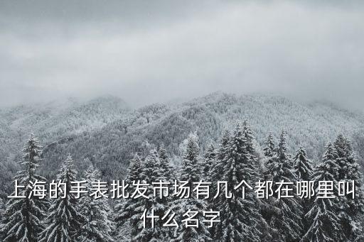 上海市最大的手表市場，上海的手表批發市場有幾個都在哪里叫什么名字