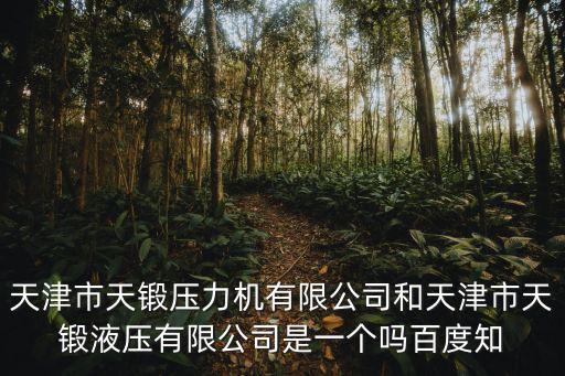 天津市天鍛壓力機有限公司和天津市天鍛液壓有限公司是一個嗎百度知
