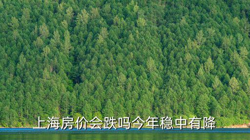 上海房價會跌嗎今年穩中有降