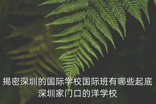 揭密深圳的國際學校國際班有哪些起底深圳家門口的洋學校