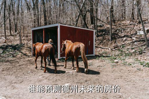 未來5年德州房價(jià)走勢如何，現(xiàn)在德州房子的價(jià)格如何