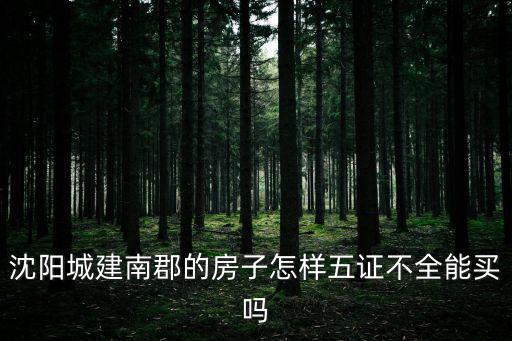 沈陽城建南郡的房子怎樣五證不全能買嗎