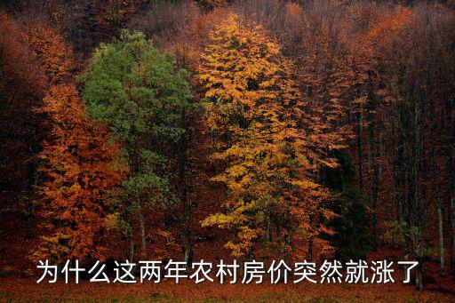 為什么這兩年農村房價突然就漲了