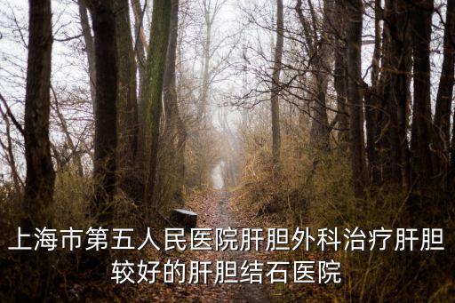 上海市第五人民醫院陳潔，陳潔的介紹
