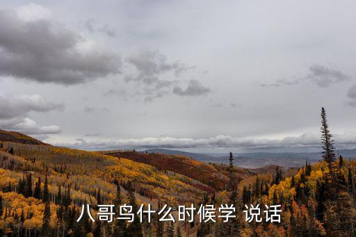 八哥鳥說話,調整八哥學習語言最佳時間是幼鳥長到3-4個月