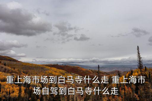 重上海市場(chǎng)到白馬寺什么走 重上海市場(chǎng)自駕到白馬寺什么走