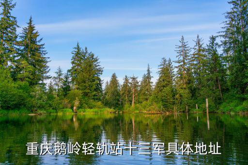 重慶市鵝嶺十三軍，有沒有人知道重慶十三軍的具體信息求解謝謝