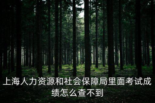 上海市社保積分怎么查詢(xún)不到，上海居住證辦好了為什么積分系統(tǒng)里面沒(méi)有信息
