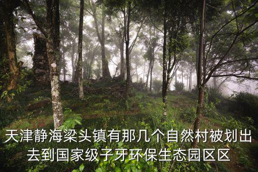 天津靜海梁頭鎮(zhèn)有那幾個(gè)自然村被劃出去到國(guó)家級(jí)子牙環(huán)保生態(tài)園區(qū)區(qū)