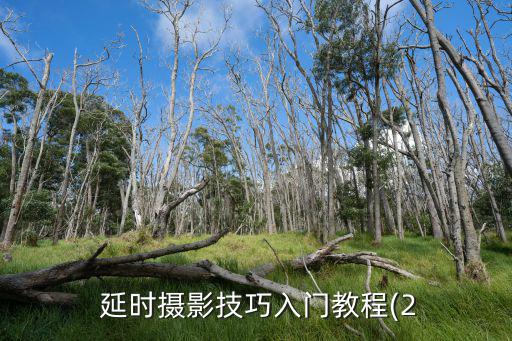 延時鏡頭,編輯中旋轉手機攝像機如何延時攝影?