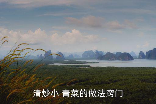 清炒小 青菜的做法竅門