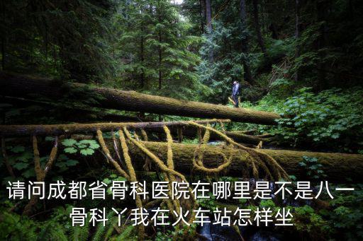 成都市一醫(yī)院沒有骨科，成都第一骨科醫(yī)院