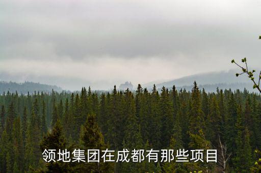 領(lǐng)地集團(tuán)在成都有那些項(xiàng)目