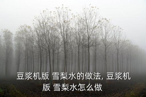  豆漿機版 雪梨水的做法, 豆漿機版 雪梨水怎么做