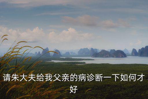 上海市肺科醫院朱余明，請朱大夫給我父親的病診斷一下如何才好