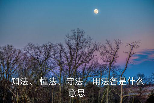 知法懂法,如何遵守和運用法律保護自身合法權益?