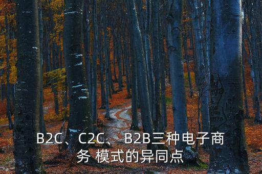 B2C、C2C、 B2B三種電子商務 模式的異同點