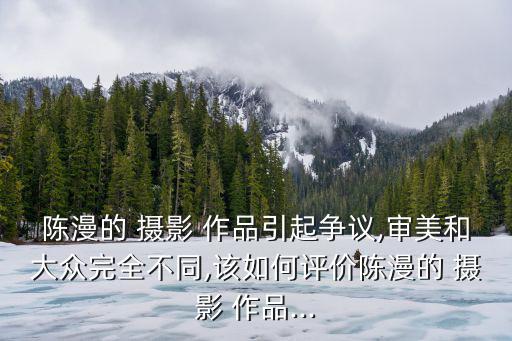 陳漫的 攝影 作品引起爭議,審美和大眾完全不同,該如何評價陳漫的 攝影 作品...