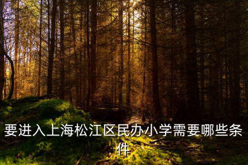 要進入上海松江區民辦小學需要哪些條件