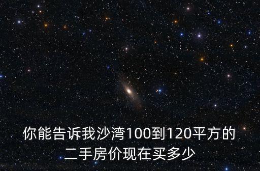 你能告訴我沙灣100到120平方的二手房價現在買多少