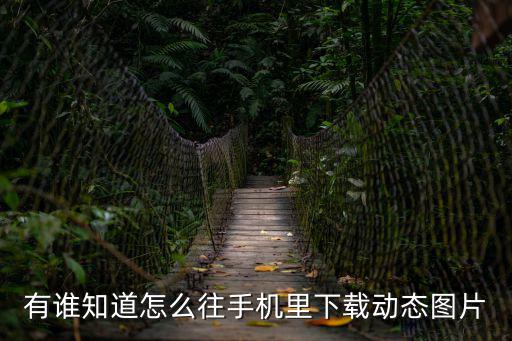 有誰知道怎么往手機里下載動態圖片