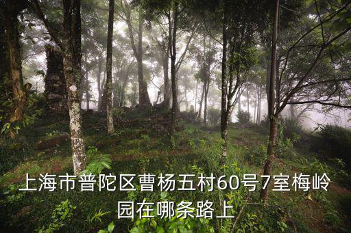 上海市普陀區(qū)曹楊五村60號7室梅嶺園在哪條路上
